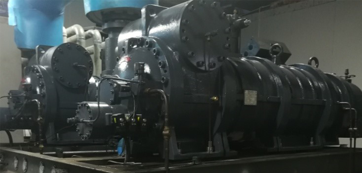 速冻加工应用-水产加工速冻隧道-6008集团官方网站